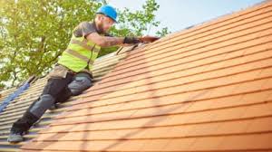 Best Roof Maintenance and Cleaning  in Pleasant Valley, WV