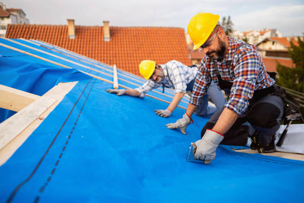 Roof Moss and Algae Removal in Pleasant Valley, WV