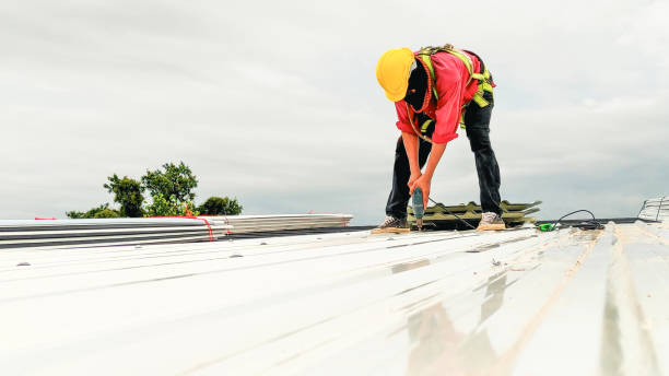 Best Chimney Flashing Repair  in Pleasant Valley, WV